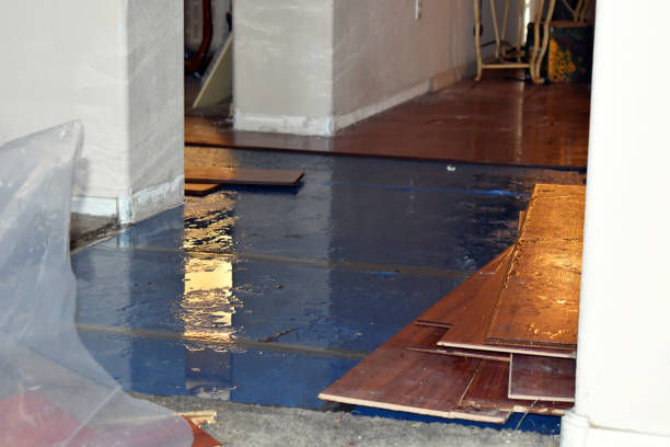 Professional Burst Pipe Cleanup technician working in Cache Junction, UT